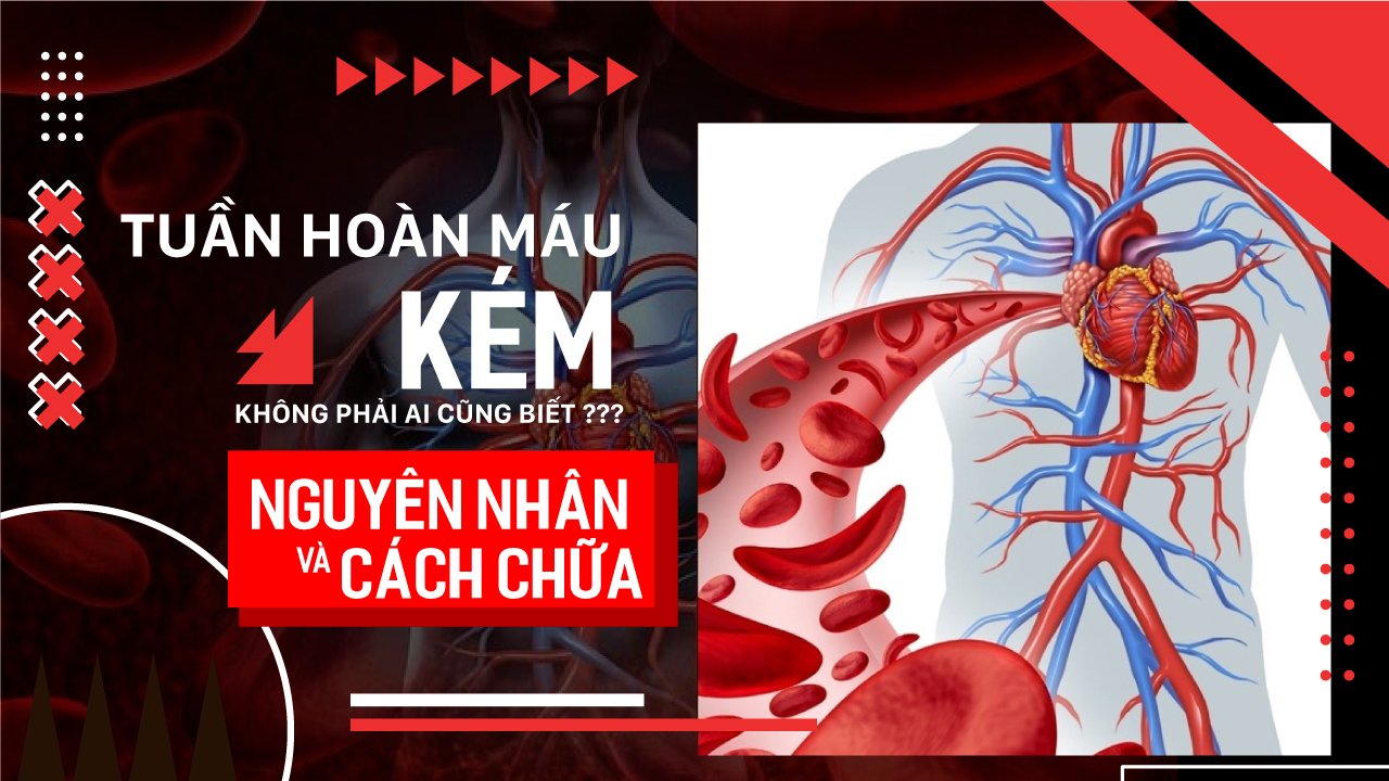 TUẦN HOÀN MÁU KÉM VÀ CÁCH CHỮA HIỆU QUẢ TẠI NHÀ KHÔNG PHẢI AI CŨNG BIẾT